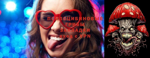 мяу мяу мука Аркадак