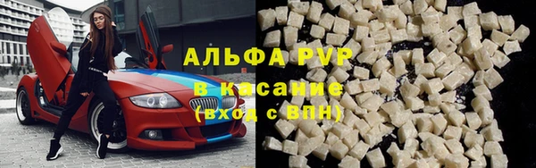 крисы Арсеньев
